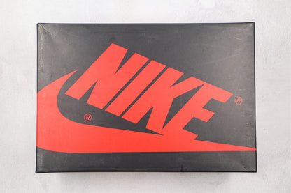 Air Jordan 1 High Bio Hack